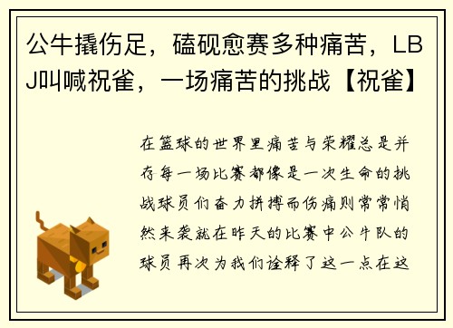 公牛撬伤足，磕砚愈赛多种痛苦，LBJ叫喊祝雀，一场痛苦的挑战【祝雀】