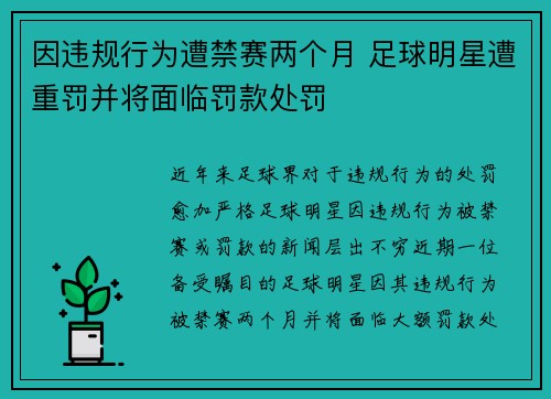 因违规行为遭禁赛两个月 足球明星遭重罚并将面临罚款处罚