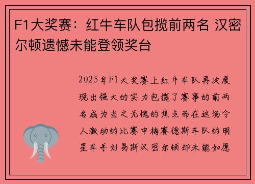 F1大奖赛：红牛车队包揽前两名 汉密尔顿遗憾未能登领奖台